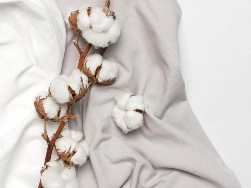 Vải cotton 100 organic