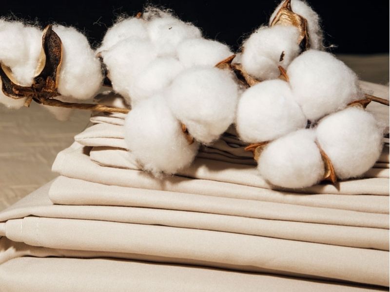 Vải cotton với lịch sử 7000 năm là chất liệu vải không thể thiếu trong cuộc sống hiện đại