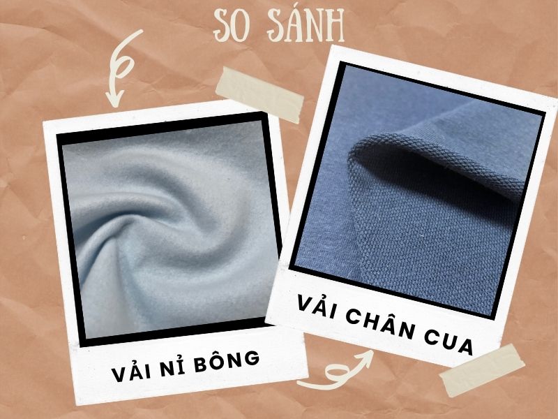 Vải nỉ bông và nỉ chân cua