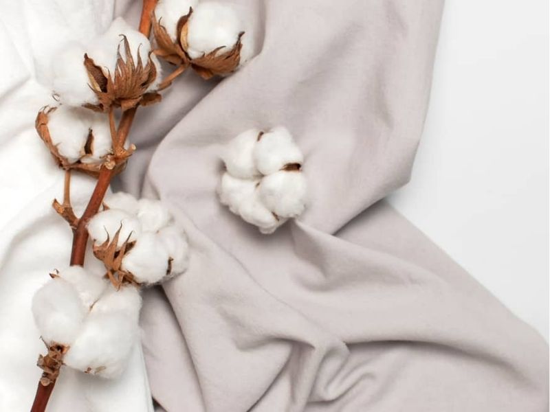 Thành phần sợi cotton giúp vải thấm hút thoáng mát